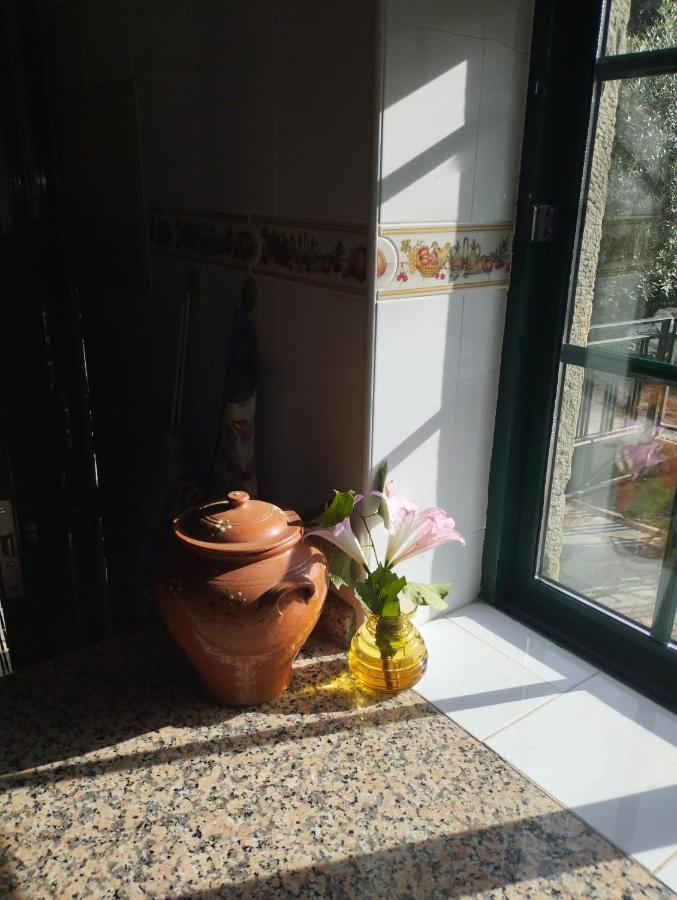 Casa Penafalcao カステロ・ブランコ エクステリア 写真
